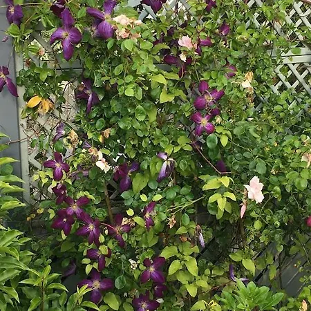 Kilbawn Country House Bed & Breakfast Kilkenny