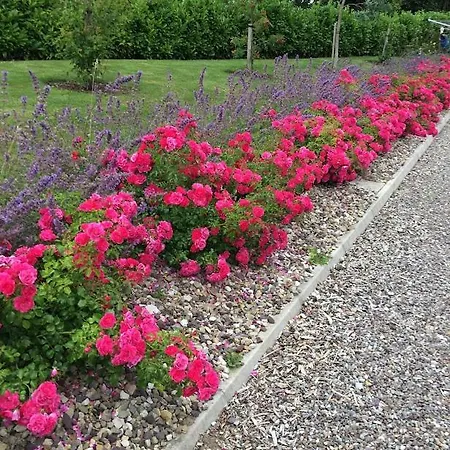 Kilbawn Country House Kilkenny